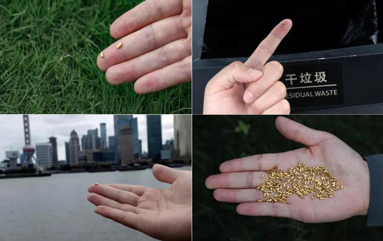 Ông Dương cảm thấy số tiền bỏ ra xứng đáng khi cảnh tỉnh mọi người thay đổi hành vi lãng phí thức ăn  SINA