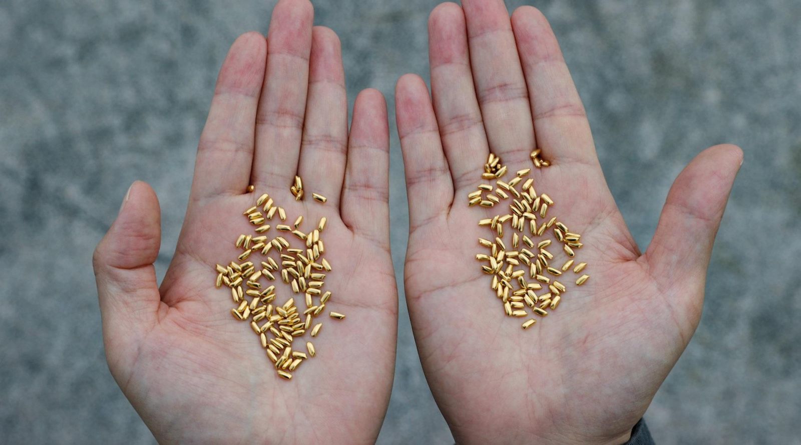 Ông Dương chi hơn 35.700 USD để mua 500 gram vàng từ một tiệm kim hoàn có uy tín  SINA