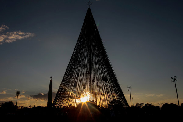 Chiêm ngưỡng những cây thông Giáng sinh đặc sắc nhất thế giới