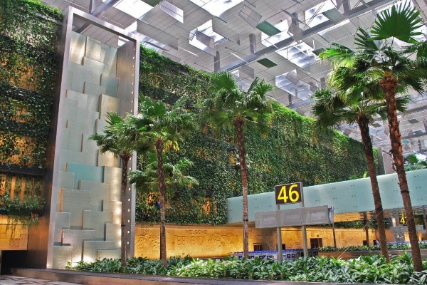 5 “biểu tượng xanh” đáng tự hào tại sân bay Changi (Singapore)
