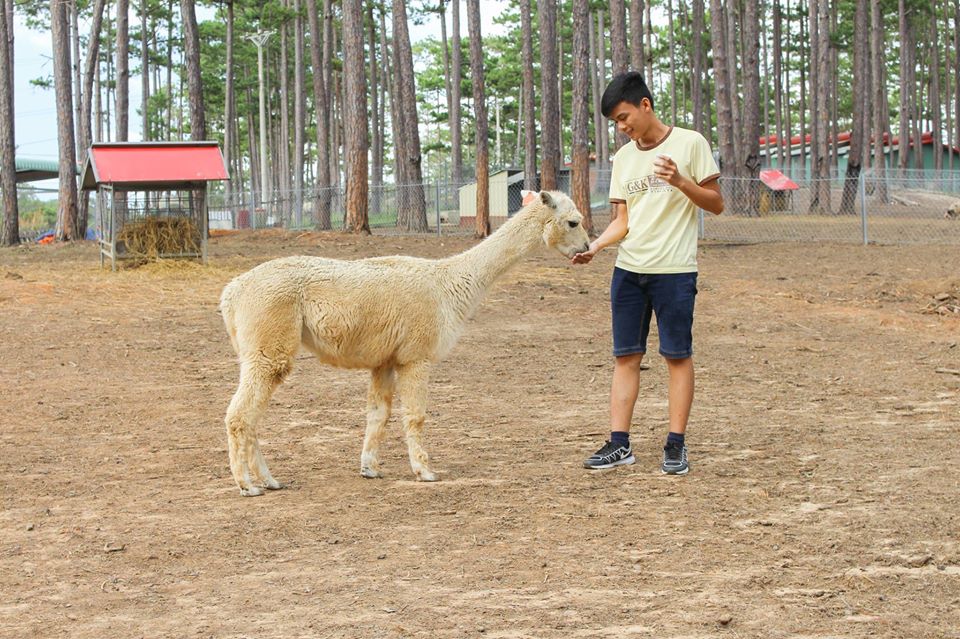 Khám phá “vườn thú Úc” xinh đẹp ẩn mình trong rừng thông Đà Lạt