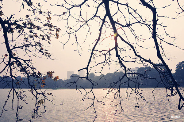 Nhìn lại không khí những ngày đầu năm đậm nét Hà Nội