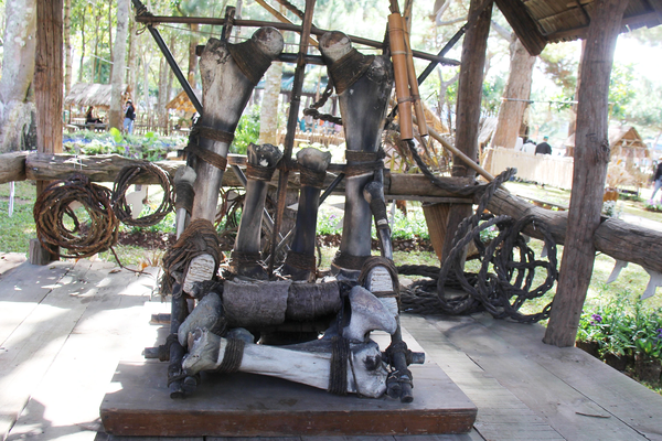 Gia Lai trưng bày ghế xương voi trắng độc nhất niên đại khoảng 700 năm