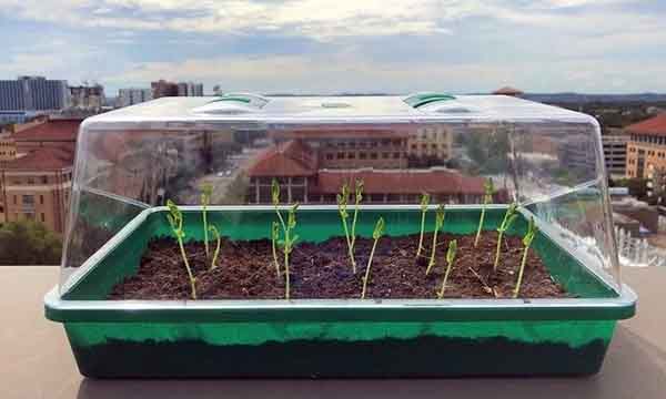 Triển vọng loại đất có thể ‘tự tưới nước’ cho cây trồng