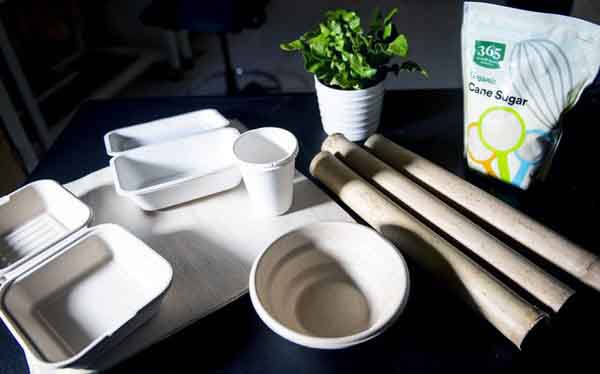 ‘Hộp bã mía’ – Giải pháp xanh cho môi trường