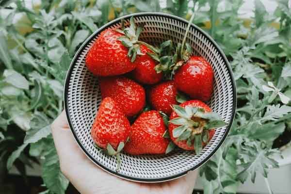 Độc đáo tủ lạnh không cần điện nhưng thực phẩm vẫn tươi ngon 