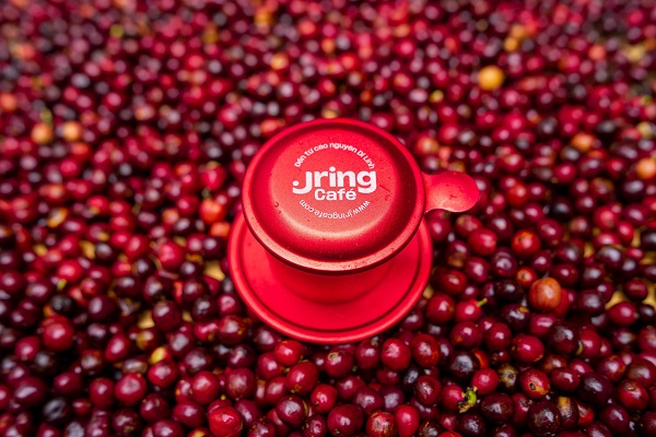 Làm cà phê chất lượng là hướng phát triển mang lại giá trị bền vững cho cây cà phê