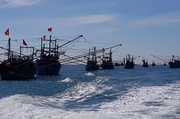 Thời tiết xấu, 2.000 du khách kẹt lại đảo Lý Sơn