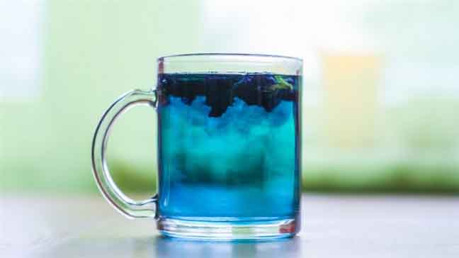 Chớm thu thưởng thức ly trà hoa đậu biếc