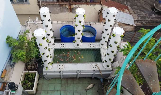 Tháp trồng rau kết hợp bể cá của một ông bố kỹ sư