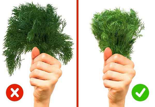 Yên tâm mua thực phẩm tươi ngon bằng mẹo chọn đơn giản