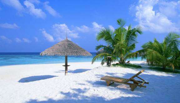 Qùa tặng từ biển