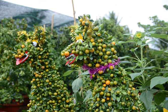 Làng hoa vào mùa rực rỡ đón tết