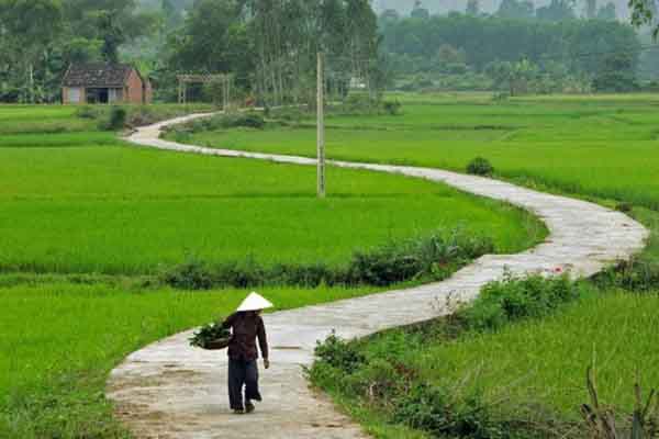 Vườn mẹ – Tùy bút Phan Đức Nhạn