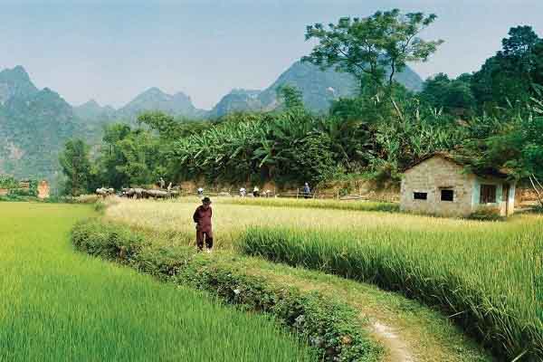 Có một Phạm Duy như thế