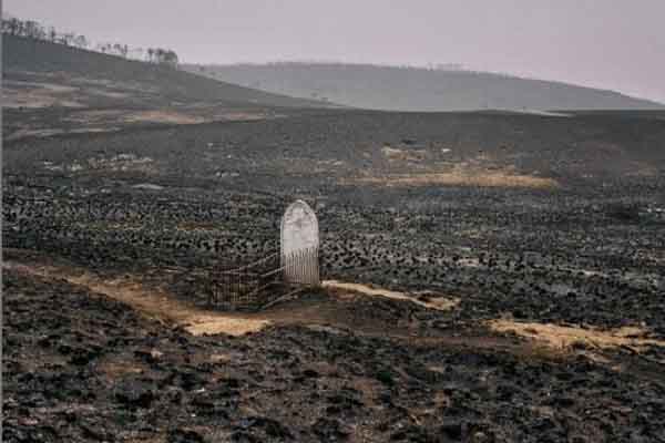 Loạt ảnh ‘môi trường bị tổn thương’ như thế nào sau đám cháy rừng lịch sử ở Úc