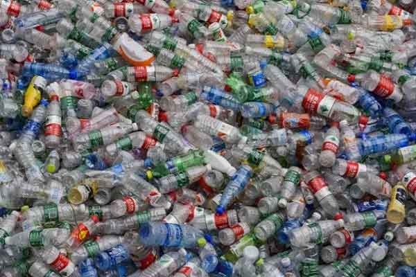 Tìm ra tổ hợp vi khuẩn ‘ăn’ nhựa hiệu quả