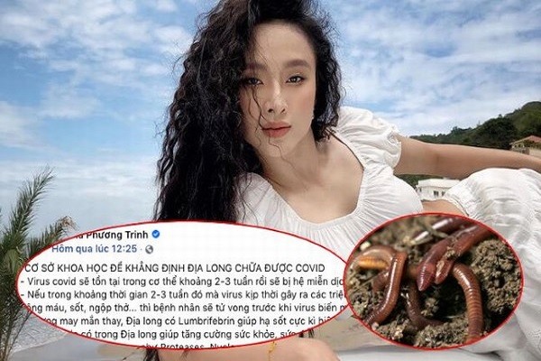 Xử lý người lan truyền thông tin giun đất chữa khỏi Covid-19