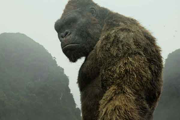 ‘Phim Kong mà không về con vật thì có khi không được quay ở Việt Nam’