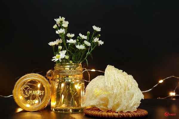 Giải đáp những nỗi lo về chất lượng yến sào