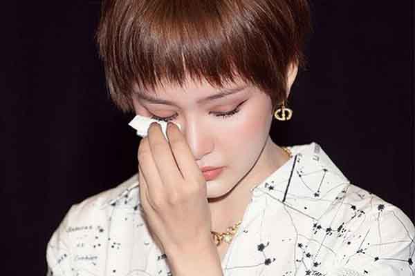 Netizen rộ làn sóng công kích gay gắt sau khi Hiền Hồ thừa nhận sai lầm