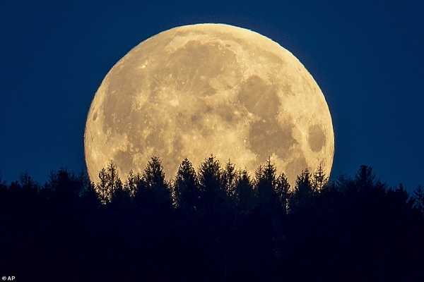 Màn trình diễn ngoạn mục của ‘siêu trăng hoa’