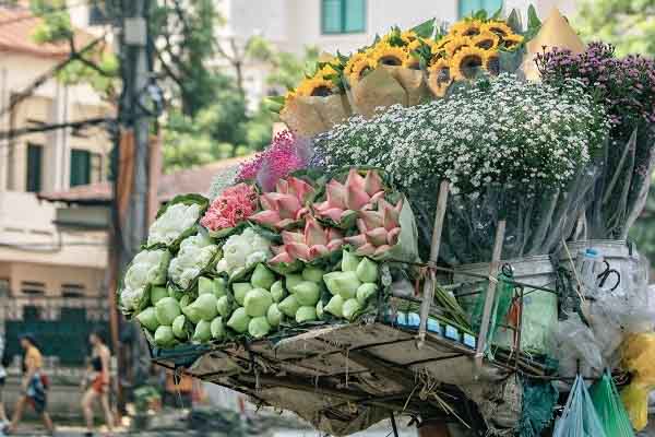 Đẹp nao lòng Hà Nội vào thu