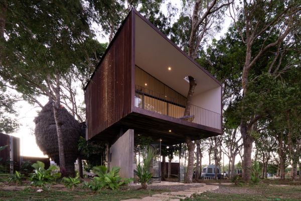 Ngôi nhà trên cây lấy cảm hứng từ chòi lá tuổi thơ