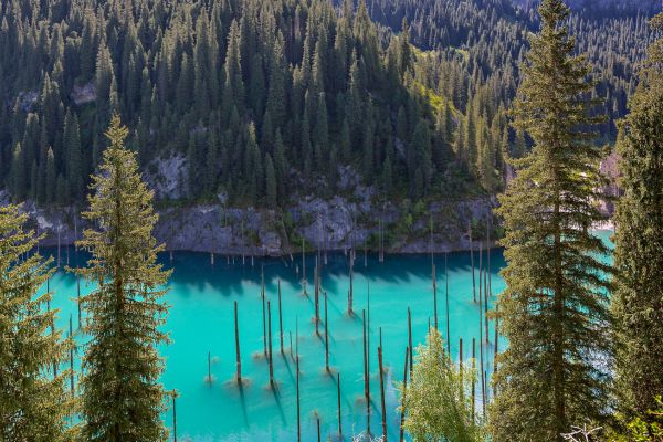 Hồ Kaindy – Câu chuyện về những cây vân sam “đứng” trong nước