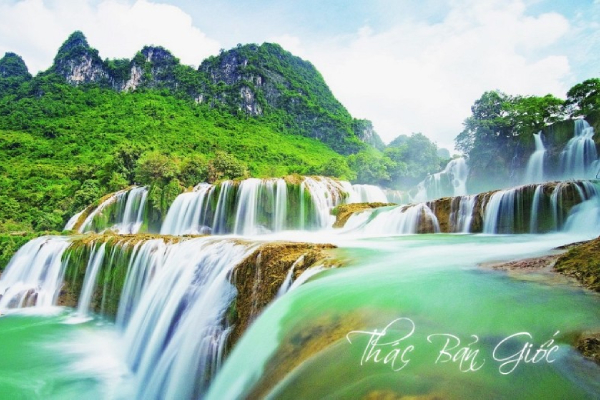 Năm 2021, vắc xin COVID -19 sẽ cứu ngành du lịch khỏi tình trạng trì trệ