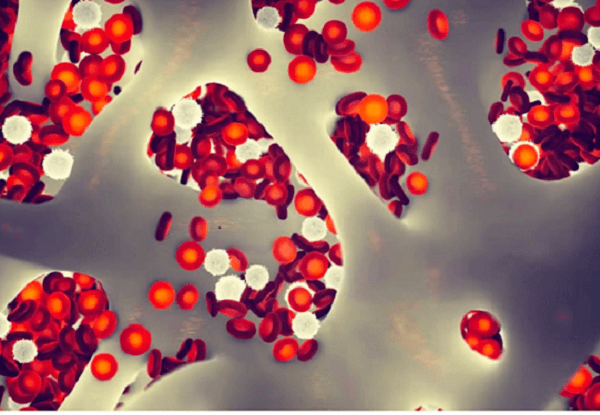 Các nhà khoa học Trung Quốc cố tìm bí mật thuật “cải lão hoàn đồng”