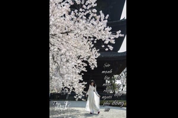 Duyên dáng quanh ta (kỳ 2): Sức mạnh của người phụ nữ là gì?