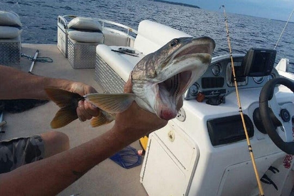 Người phụ nữ câu được cá hồi có 2 miệng