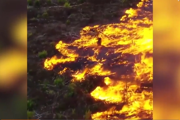 Khí độc do cháy rừng Amazon đang tăng cao, gây nguy hiểm cho sức khỏe