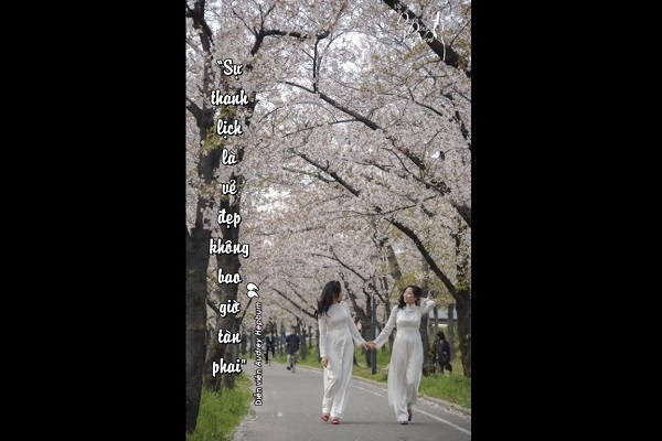 Sự thanh lịch là vẻ đẹp không bao giờ tàn phai