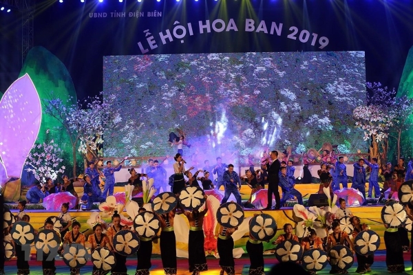 Lễ hội Hoa ban năm 2020 lỗi hẹn du khách vì virus corona