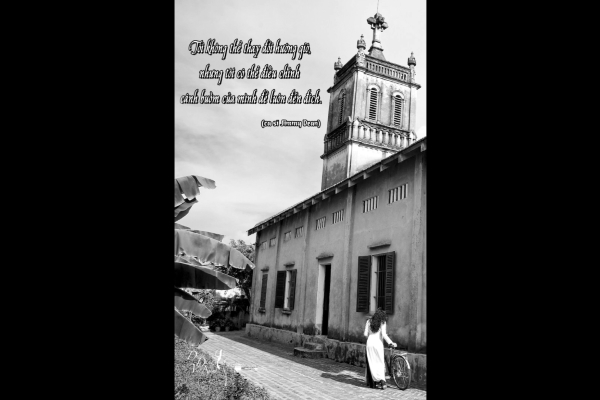 Duyên dáng quanh ta (Kỳ 38): Tôi không thể thay đổi hướng gió…