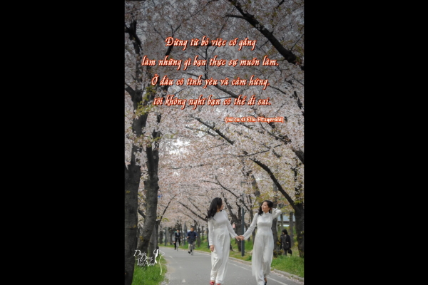 Duyên dáng quanh ta (Kỳ 39): Đừng từ bỏ những gì bạn thực sự muốn làm…