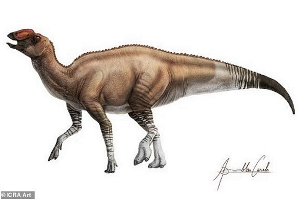 Khủng long mỏ vịt có thêm loài mới