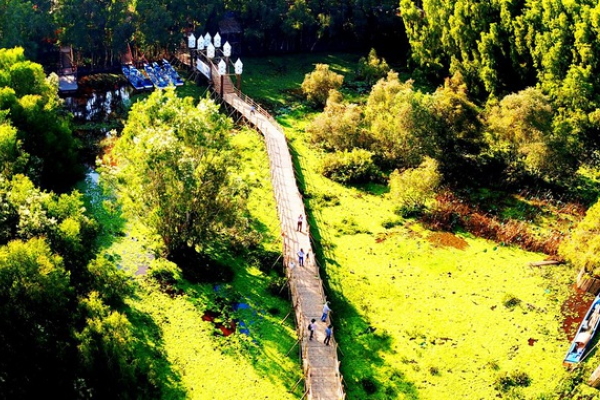 Vẻ mướt mắt của rừng tràm Trà Sư đẹp và nổi tiếng nhất Việt Nam