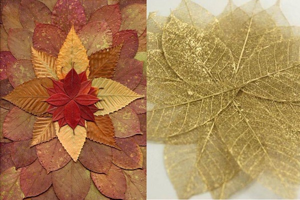 Không gì là bỏ đi (Kỳ 2): Những chiếc lá ‘vĩnh cửu’