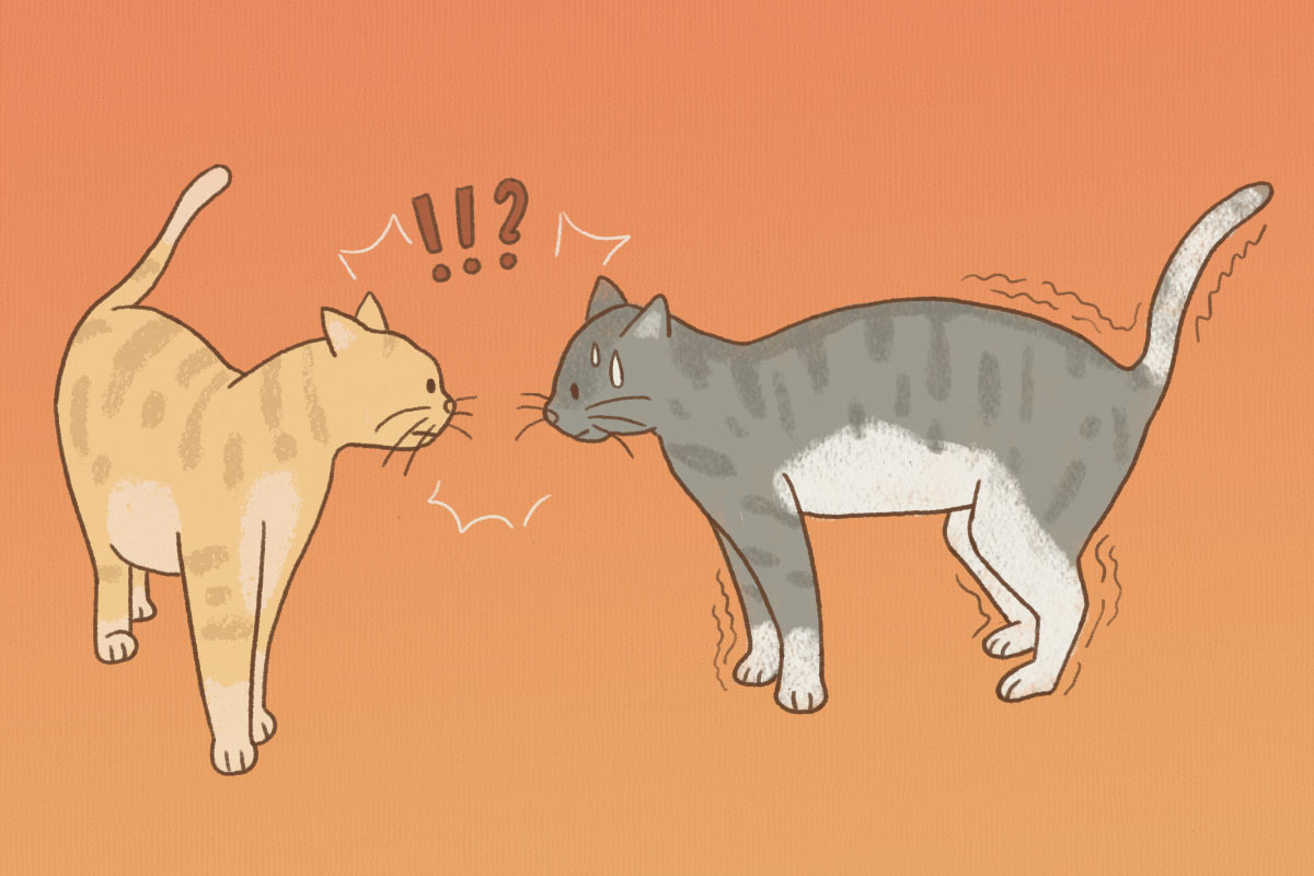 9 dấu hiệu cho thấy bạn có thể đang khiến người khác e dè