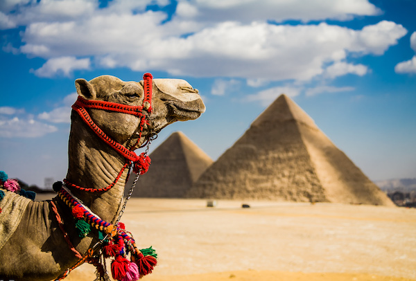 Lạc lối giữa Ai Cập hùng vĩ