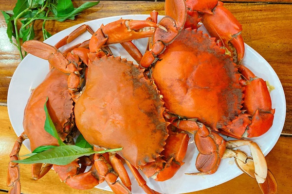 Người nuôi phấn khởi khi cua Cà Mau tăng giá mạnh dịp Tết dương lịch