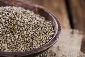 Hạt gai dầu và những lợi ích bất ngờ với sức khỏe con người