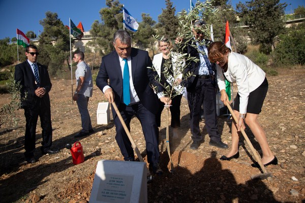 Trồng 10 cây xanh cho mỗi em bé chào đời