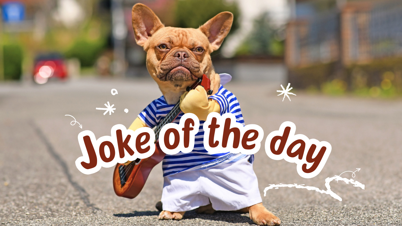 Joke of the day: khi chơi chữ trở thành ‘cuộc vui’ triệu view