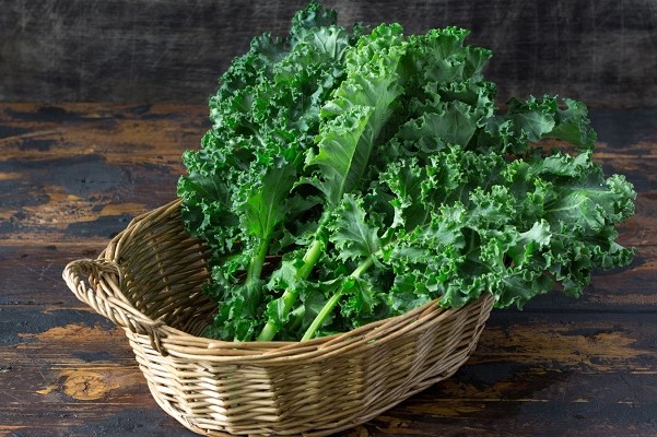Kale – Mở màn trào lưu trồng rau cổ thụ tại nhà