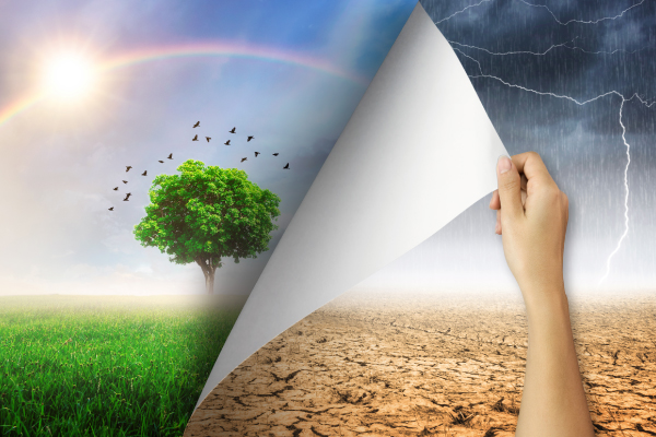 2024 và những dự báo về lối sống, sức khỏe