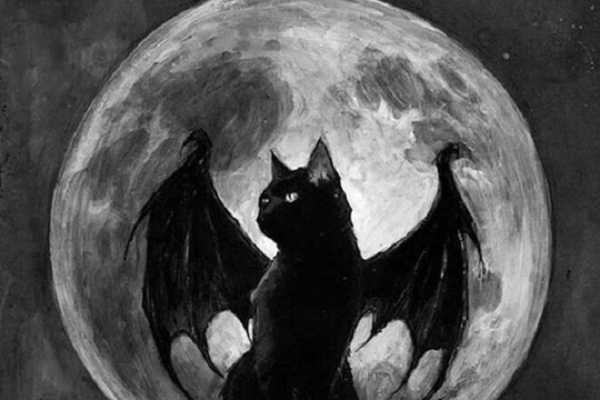 Vì sao mèo đen – biểu tượng Halloween bị con người sợ hãi và phân biệt đối xử?